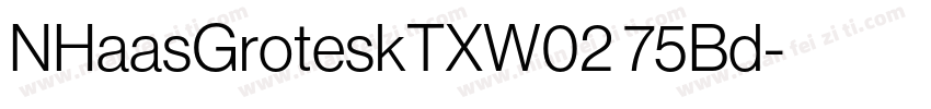 NHaasGroteskTXW02 75Bd字体转换